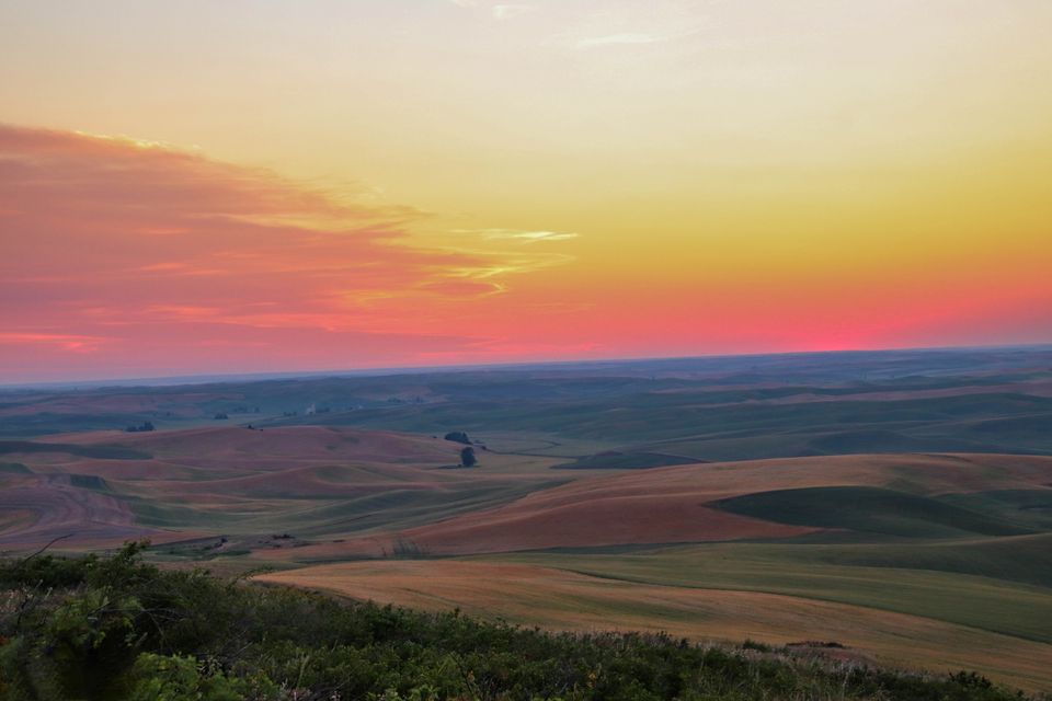 Steptoe Butte State park